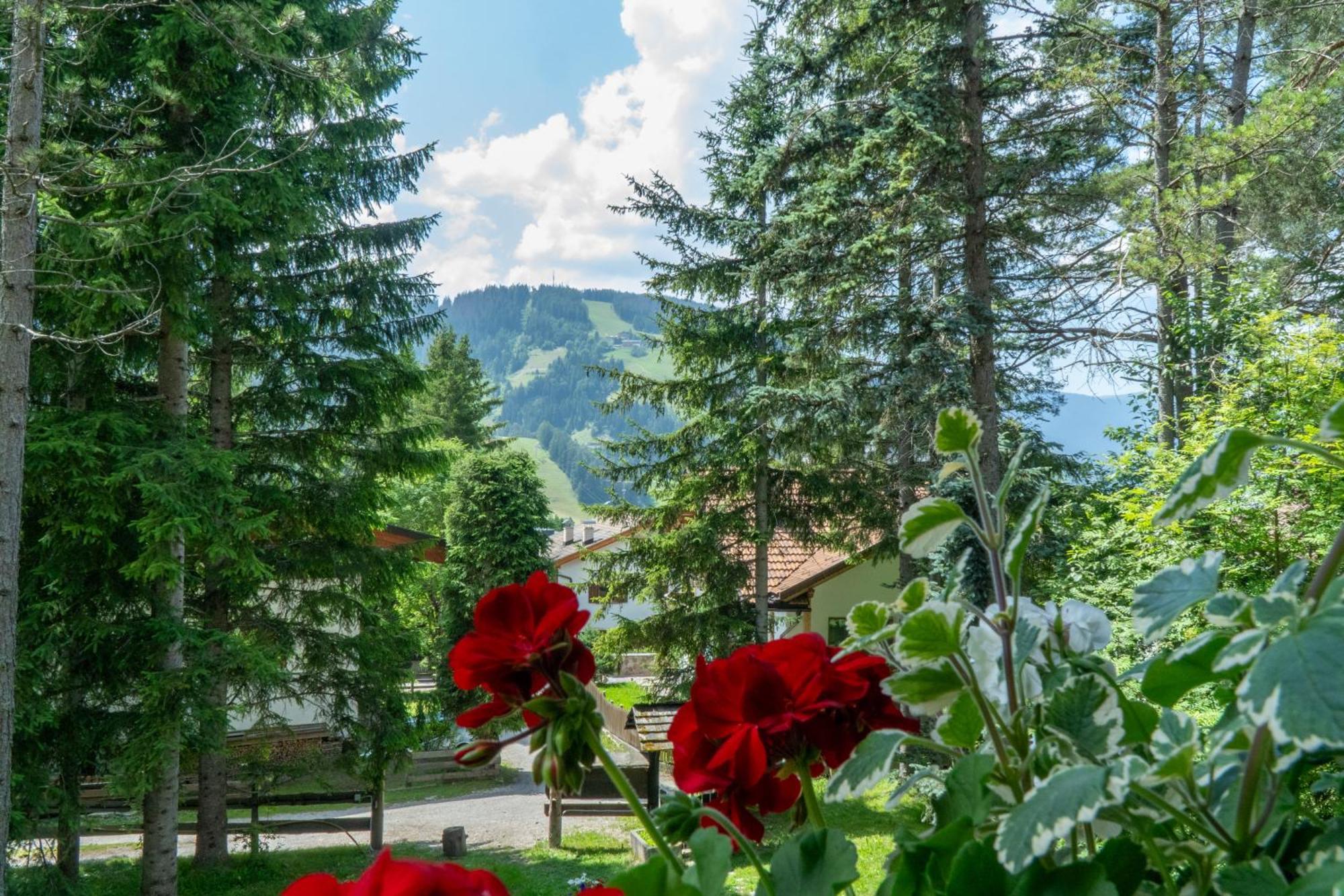 B&B Villa La Bercia San Vigilio Di Marebbe Exteriér fotografie
