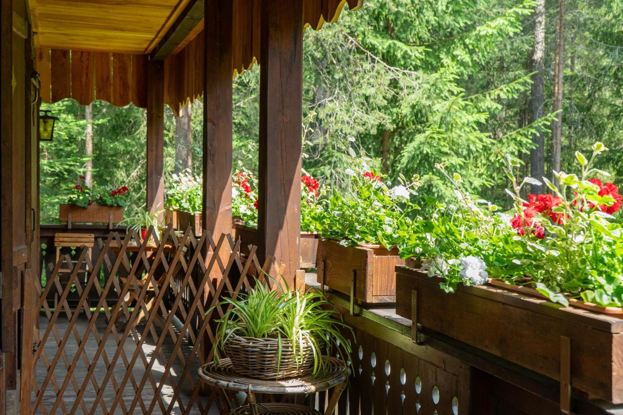 B&B Villa La Bercia San Vigilio Di Marebbe Exteriér fotografie